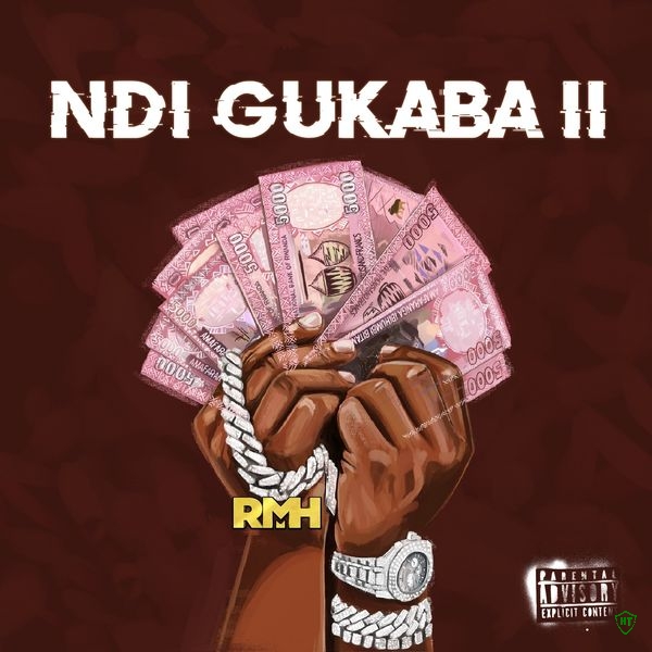 Ndigukaba II Album