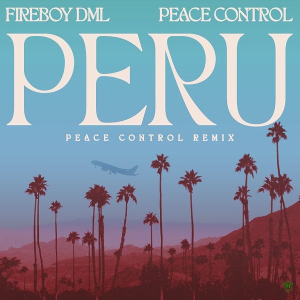 Fireboy DML - Peru (Peace Control Remix) Ft. Peace Control